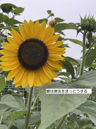 260710