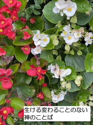 260717