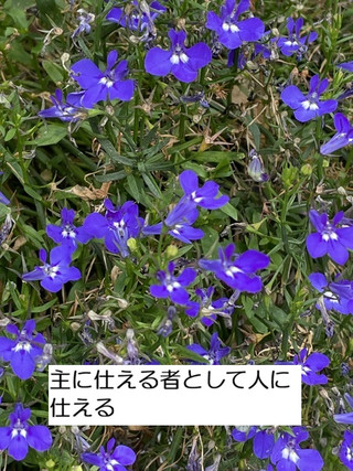 260719