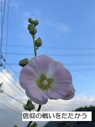 260806