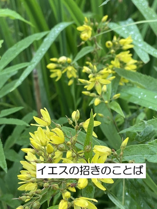 260809