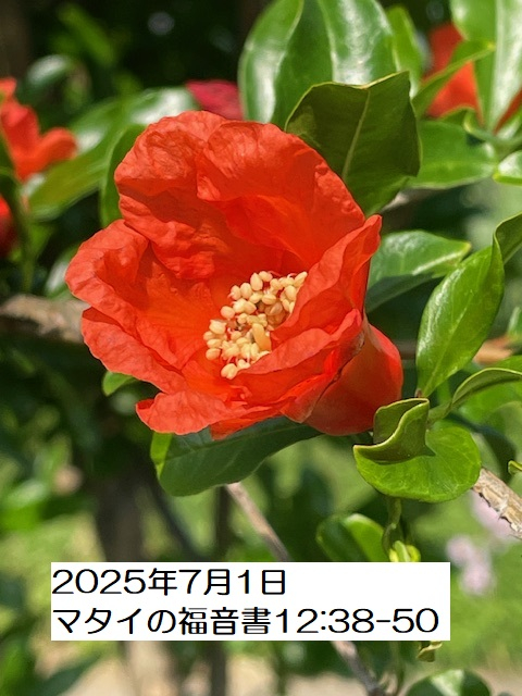 250701